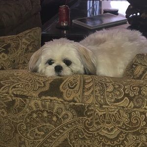 Meet your Posher, Patti